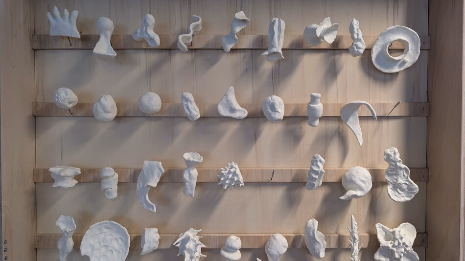 Kunst vormt onmisbare aanvulling op de gezondheidszorg 1